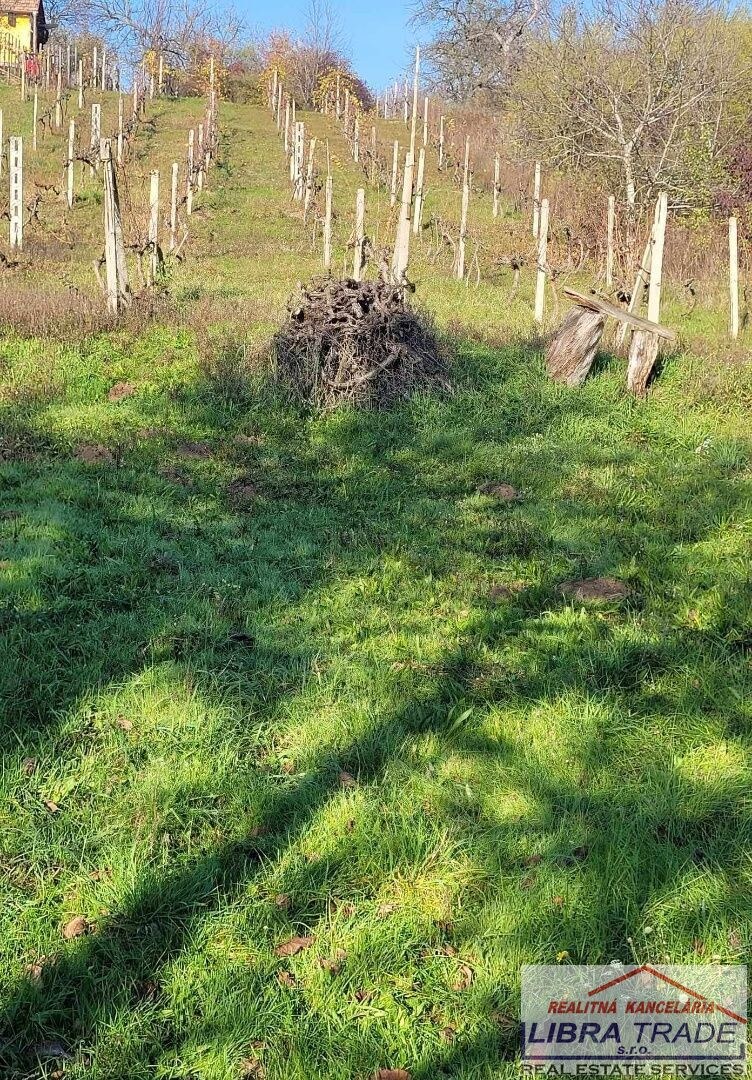 Ponúkame na predaj pozemok na Božom kopci v Štúrove. — foto 3
