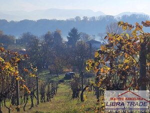 Ponúkame na predaj pozemok na Božom kopci v Štúrove. — foto 1