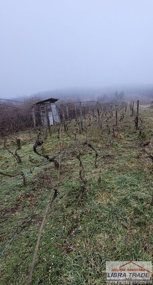 Predáme chatku s elektrinou, pekným pozemkom a viničom. — foto 7
