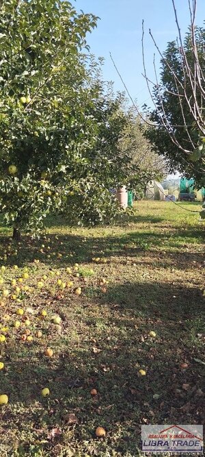 Menší rodinný dom na predaj s veľkým pozemkom v Nových Zámkoch. — foto 7